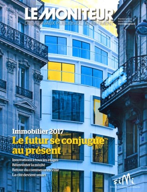Le Moniteur - Immobilier 2017